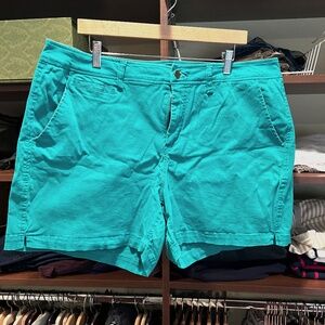 Market & Spruce Kelly Green Shorts 20W